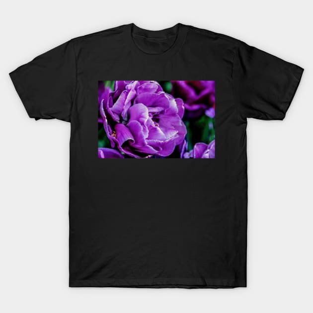 tulips T-Shirt by rollier